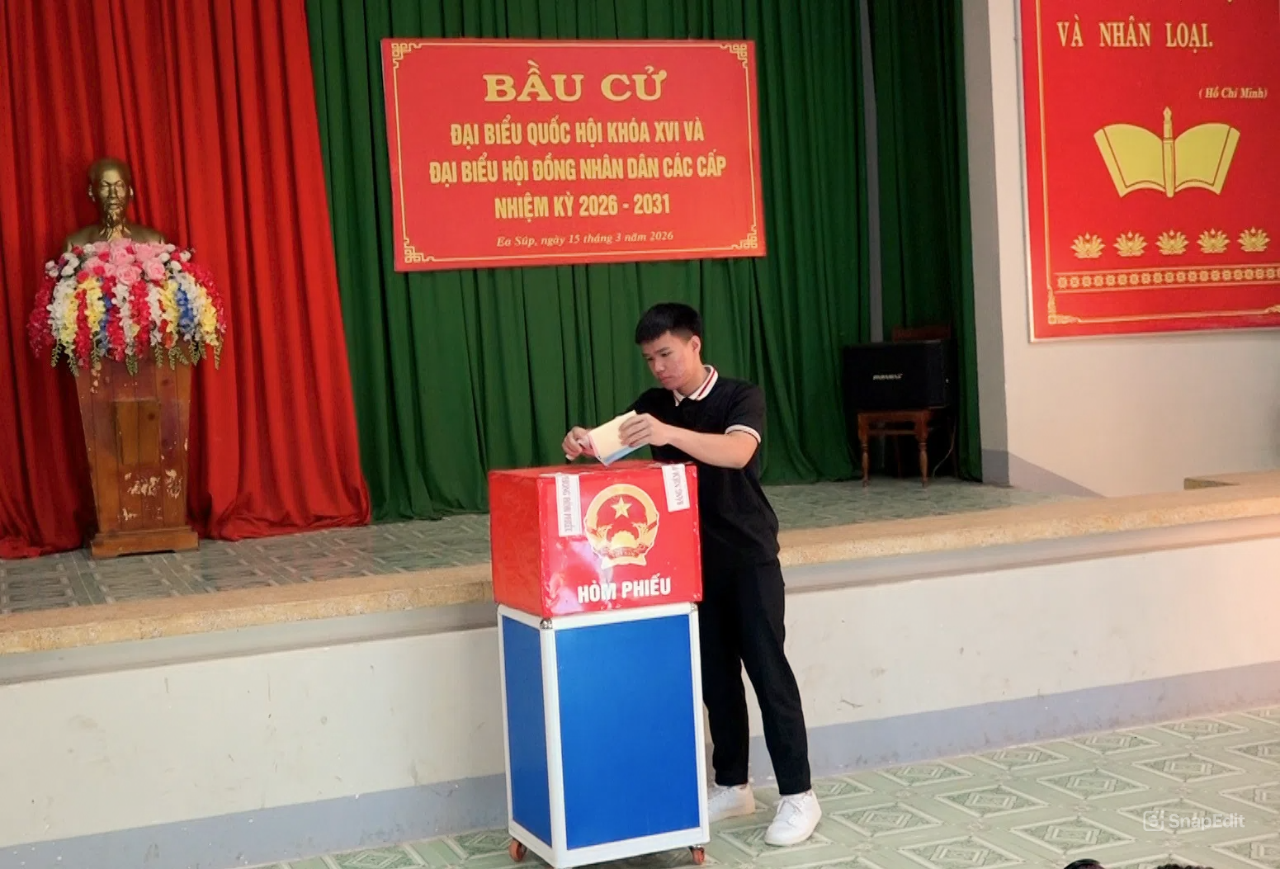 snapedit_1773544820968