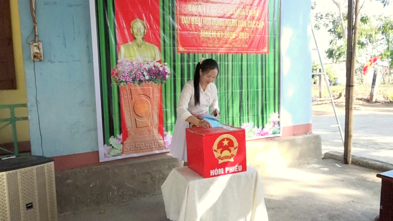 snapedit_1773548502487