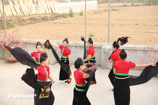 dantoc_20260112160711