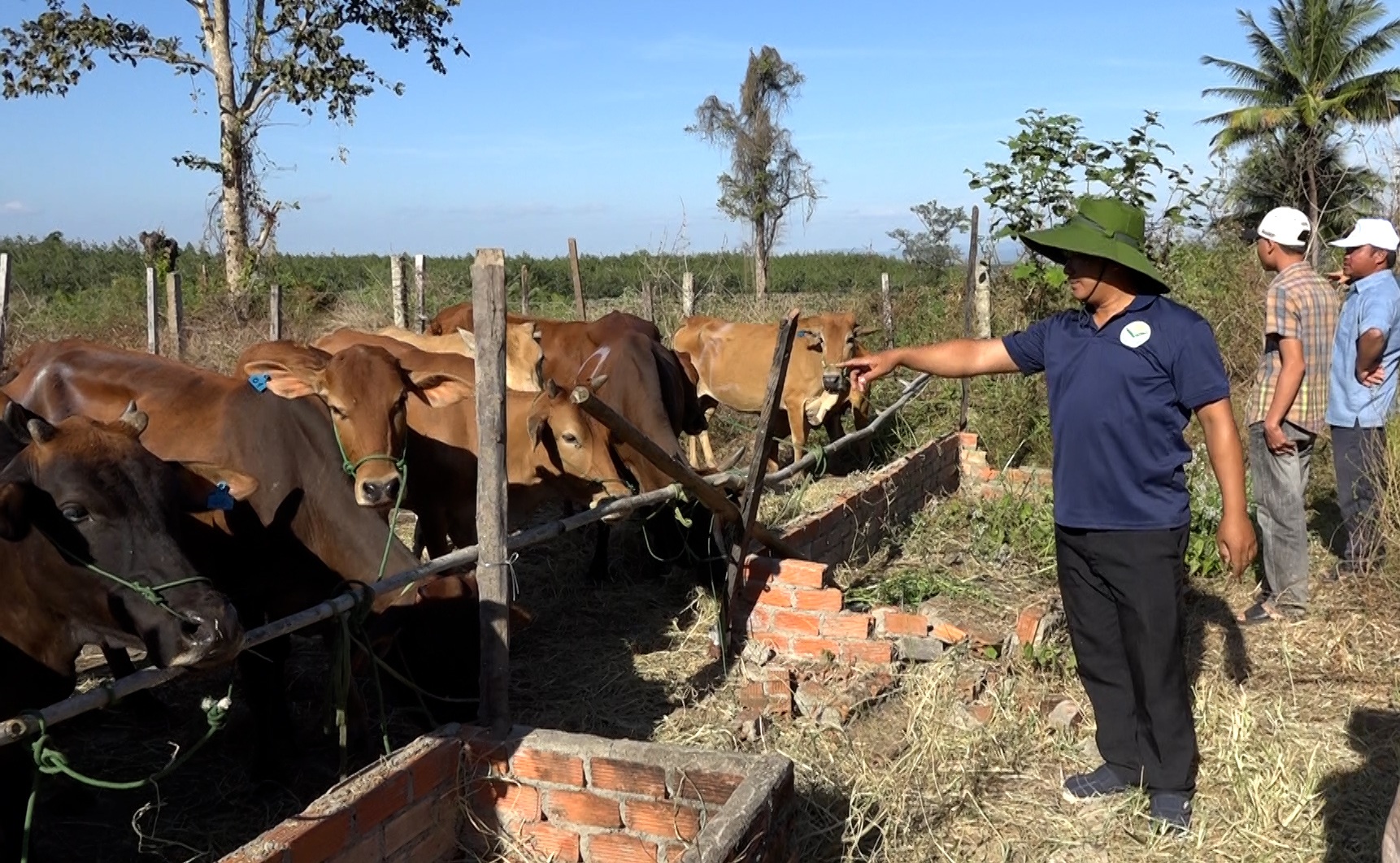 Xã Ea Súp nỗ lực kéo giảm tỷ lệ hộ nghèo